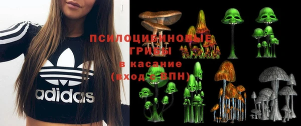соль ск Абаза